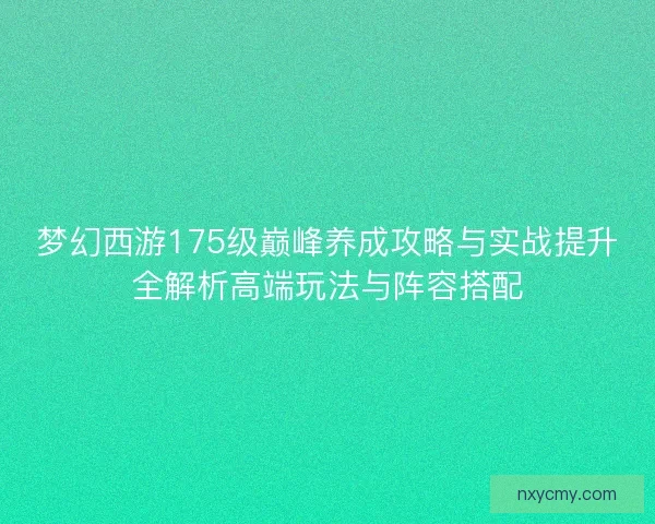 梦幻西游175级巅峰养成攻略与实战提升全解析高端玩法与阵容搭配