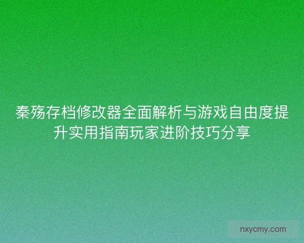 秦殇存档修改器全面解析与游戏自由度提升实用指南玩家进阶技巧分享