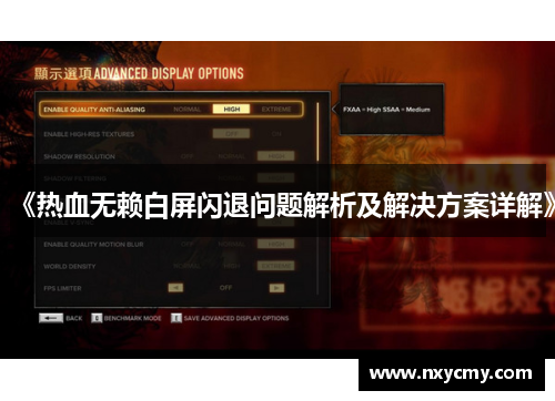 《热血无赖白屏闪退问题解析及解决方案详解》